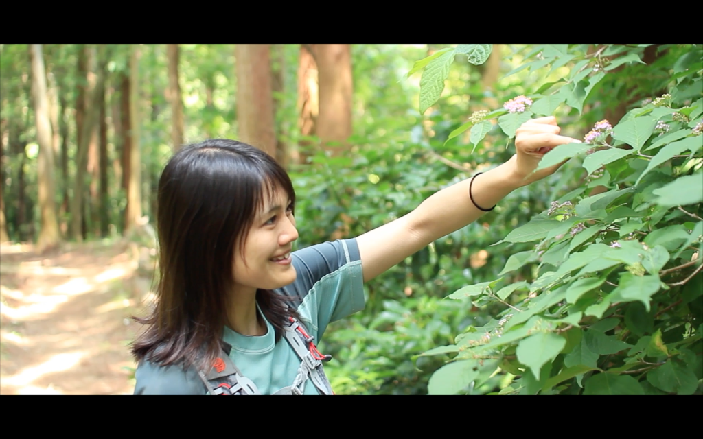 スクリーンショット 2015-08-10 10.38.22