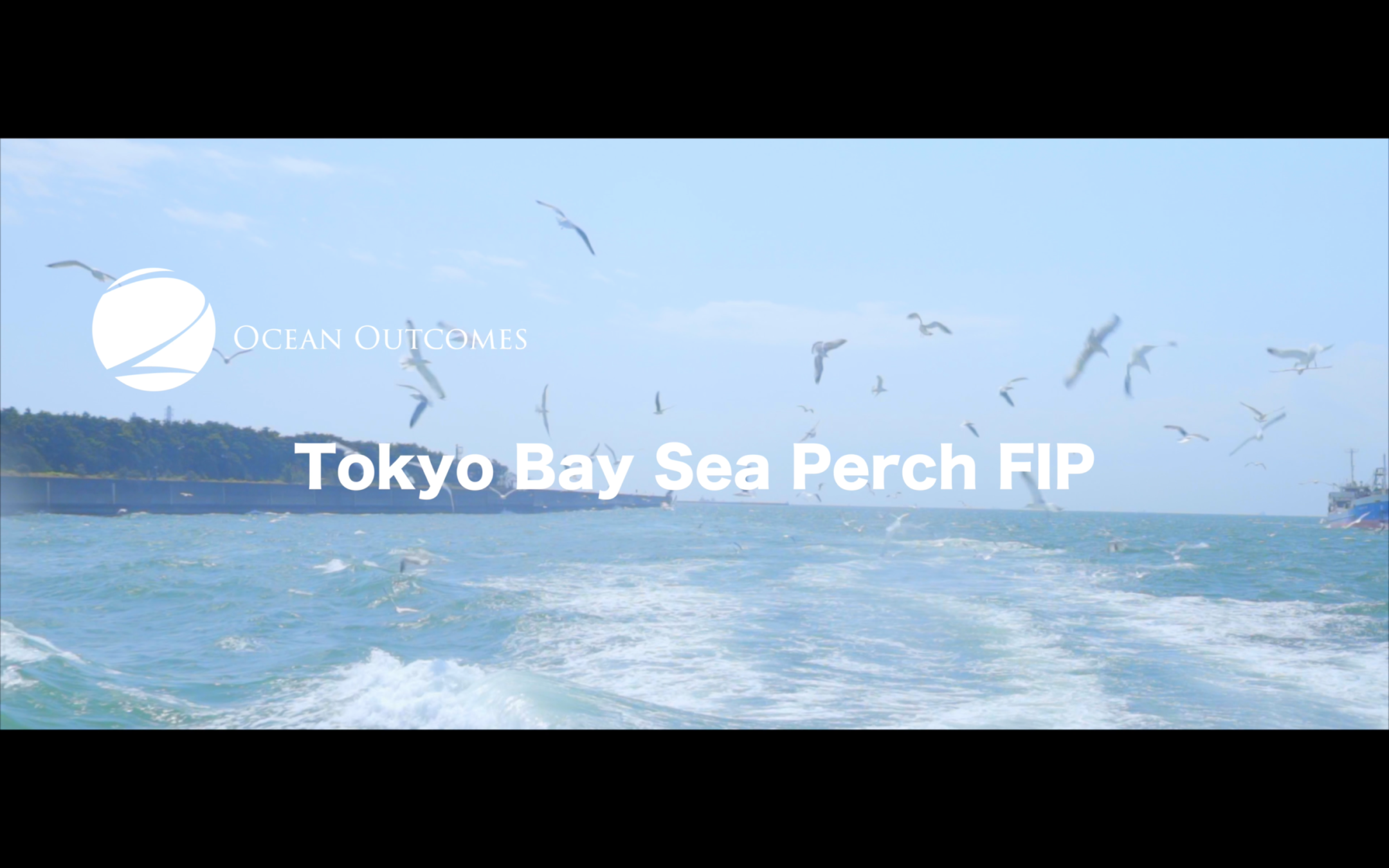 Tokyo Bay Sea Perch FIP（東京湾スズキFIP）